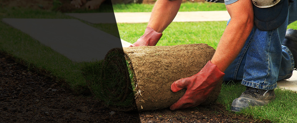 Wolcottville Landscapers